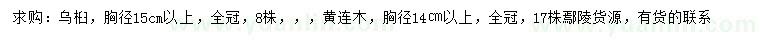 求購胸徑15公分以上烏桕、14公分以上黃連木