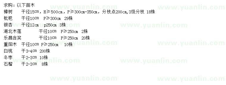 求購樟樹、枇杷、銀杏等