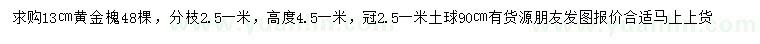 求購13公分黃金槐