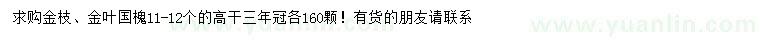 求購(gòu)11-12公分金枝國(guó)槐、金葉國(guó)槐