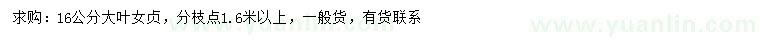 求購(gòu)16公分大葉女貞