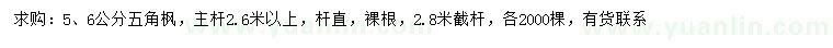 求購5、6公分五角楓