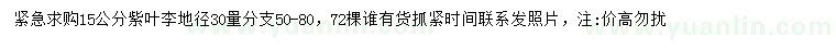 求購地徑30公分量15公分紫葉李