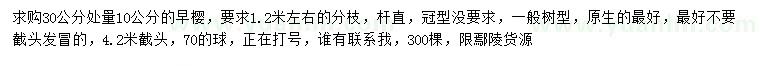 求購30公分量10公分早櫻