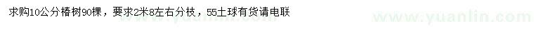 求購(gòu)10公分椿樹