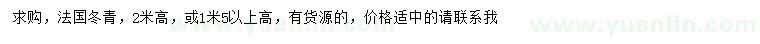 求購高2米法國(guó)冬青