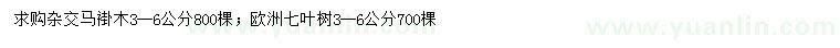 求購(gòu)3-6公分雜交馬褂木、歐洲七葉樹(shù)