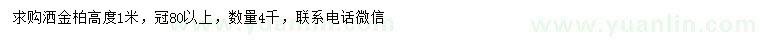 求購高1米灑金柏