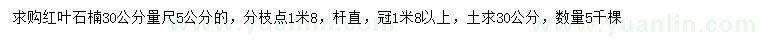 求購30公分量尺5公分紅葉石楠