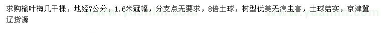 求購地徑7公分榆葉梅