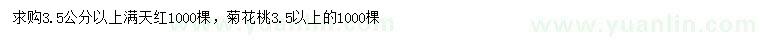 求購3.5公分以上滿天紅、菊花桃