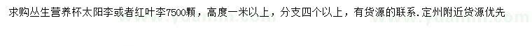求購高1米以上太陽李或紅葉李