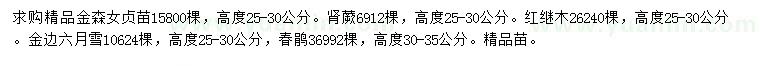 求購金森女貞、腎蕨、紅繼木等