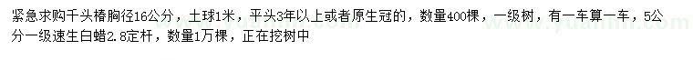 求購(gòu)胸徑16公分千頭椿、5公分白蠟