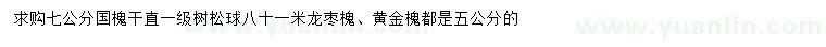 求購國槐、龍棗槐、黃金槐