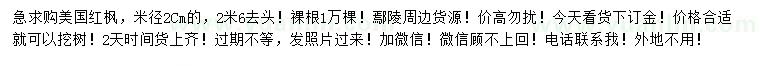 求購(gòu)米徑2美國(guó)紅楓