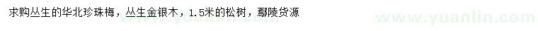 求購叢生華北珍珠梅、叢生金銀木、松樹