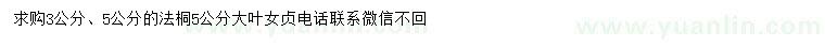 求購3、5公分法桐、5公分大葉女貞
