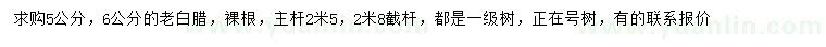 求購(gòu)5、6公分老白臘