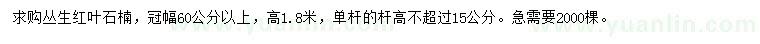 求購高1.8米叢生紅葉石楠