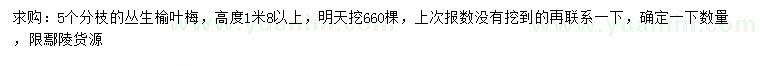 求購(gòu)高1.8米以上叢生榆葉梅