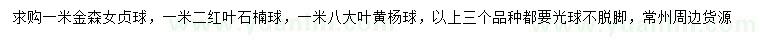 求購金森女貞球、紅葉石楠球、大葉黃楊球