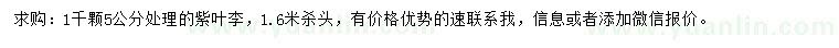 求購(gòu)5公分紫葉李