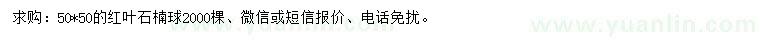 求購50*50紅葉石楠球