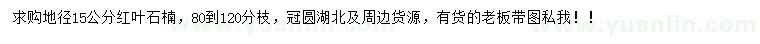 求購地徑15公分紅葉石楠