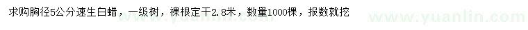 求購胸徑5公分速生白蠟
