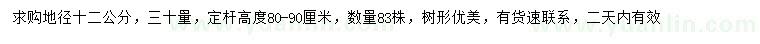 求購30公分量地徑12公分晩櫻