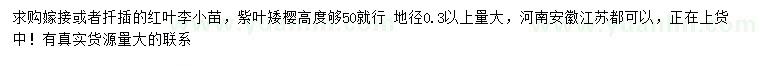 求購地徑0.3公分以上紅葉李小苗、紫葉矮櫻