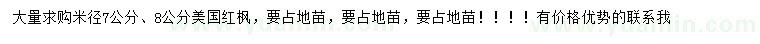 求購米徑7、8公分美國紅楓