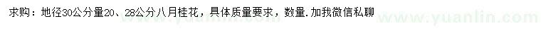 求購地徑30公分量20、28公分八月桂