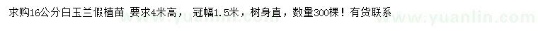 求購16公分白玉蘭