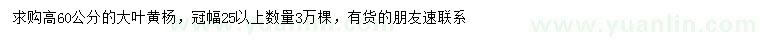 求購高60公分大葉黃楊