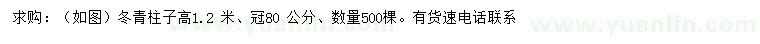 求購高1.2米冬青柱