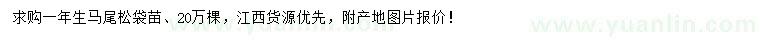 求購一年生馬尾松
