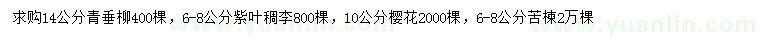 求購(gòu)青垂柳、紫葉稠李、櫻花等