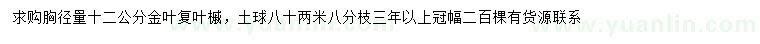 求購胸徑量12公分金葉復(fù)葉槭