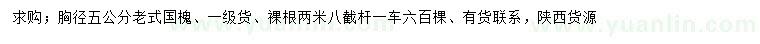 求購(gòu)胸徑5公分老式國(guó)槐