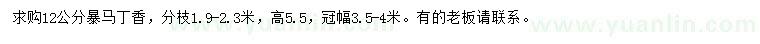 求購12公分暴馬丁香
