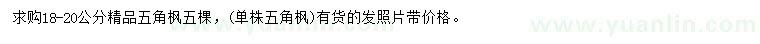 求購18-20公分五角楓