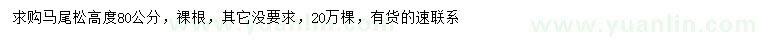 求購(gòu)高80公分馬尾松