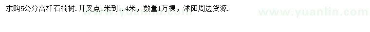 求購(gòu)5公分高桿石楠樹