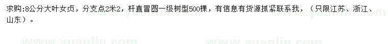 求購8公分大葉女貞