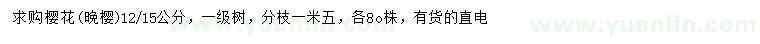 求購12、15公分晚櫻