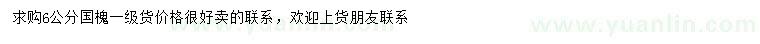 求購6公分國槐