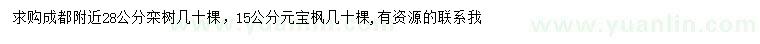 求購(gòu)28公分欒樹(shù)、15公分元寶楓
