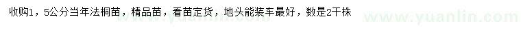 求購1.5公分當(dāng)年法桐苗